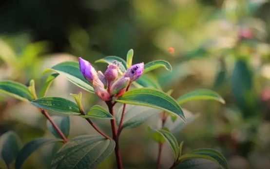 Common Gardening Mistakes Beginners Make - Avoid These!
