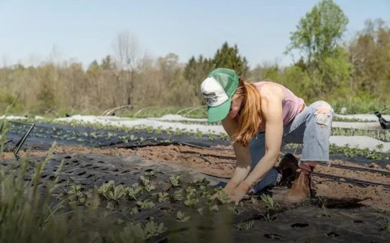 How to Choose the Right Plants for Your Home Garden Tips