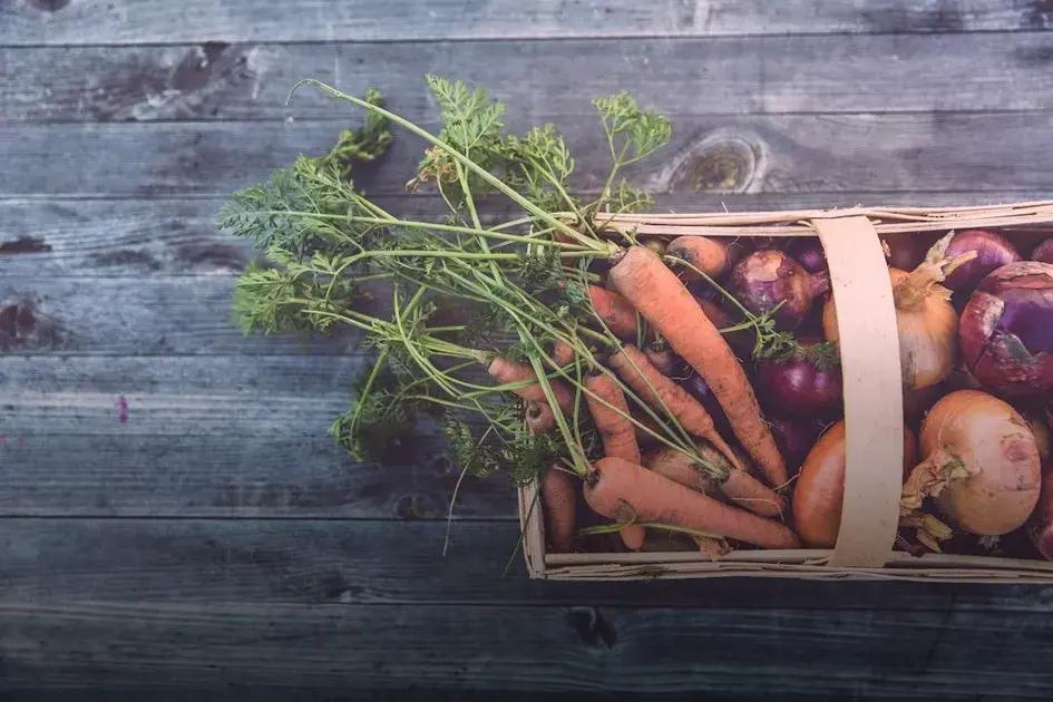 Maintaining Your Vegetable Garden